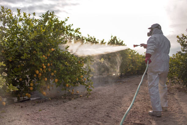 Best Affordable Pest Control Services  in Marietta, PA